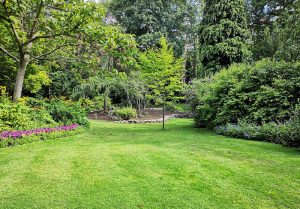 Optimiser l'expérience du jardin à Behuard